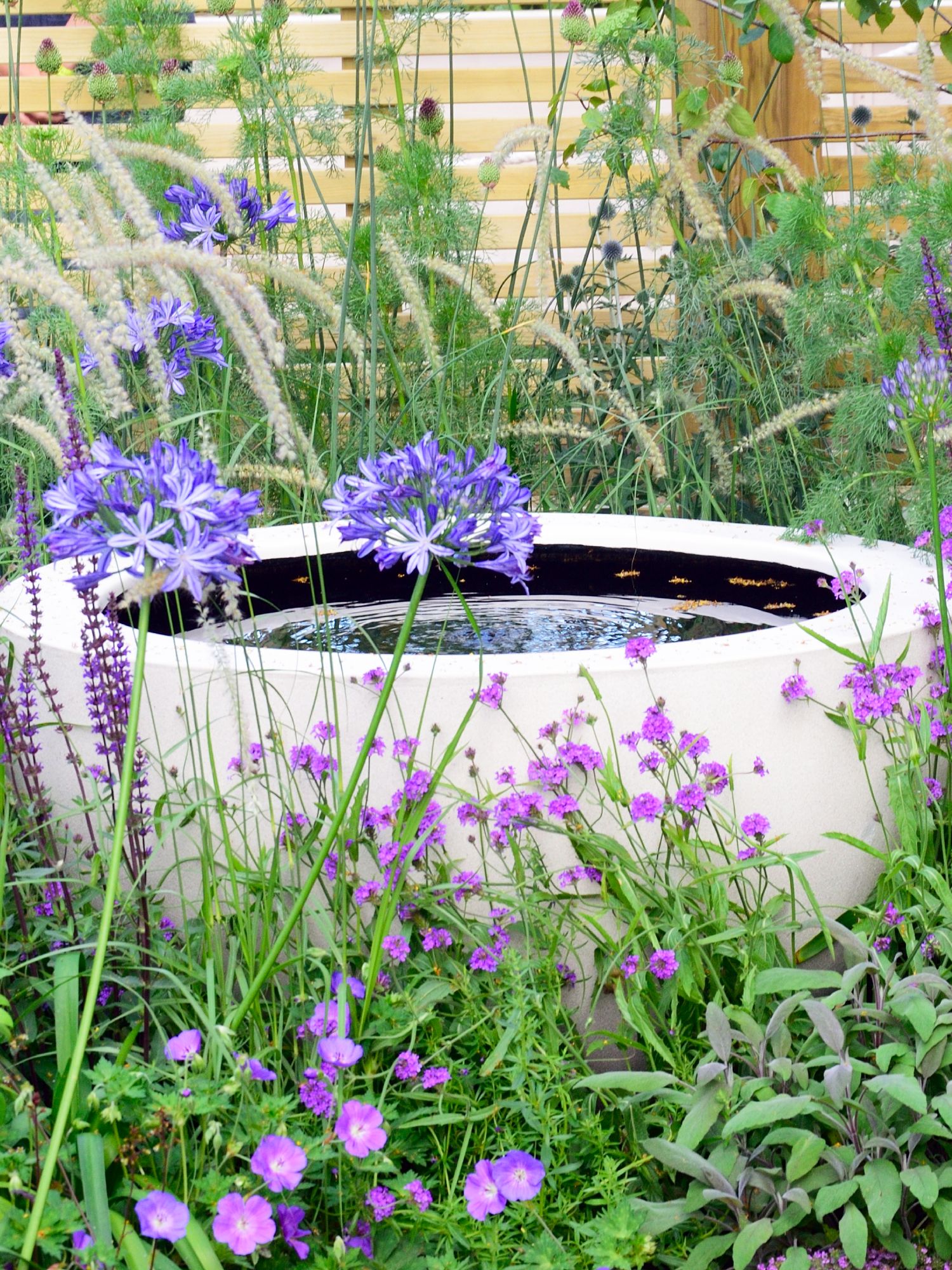 micropond or small pond in a container or water feature in a garden border of flowers