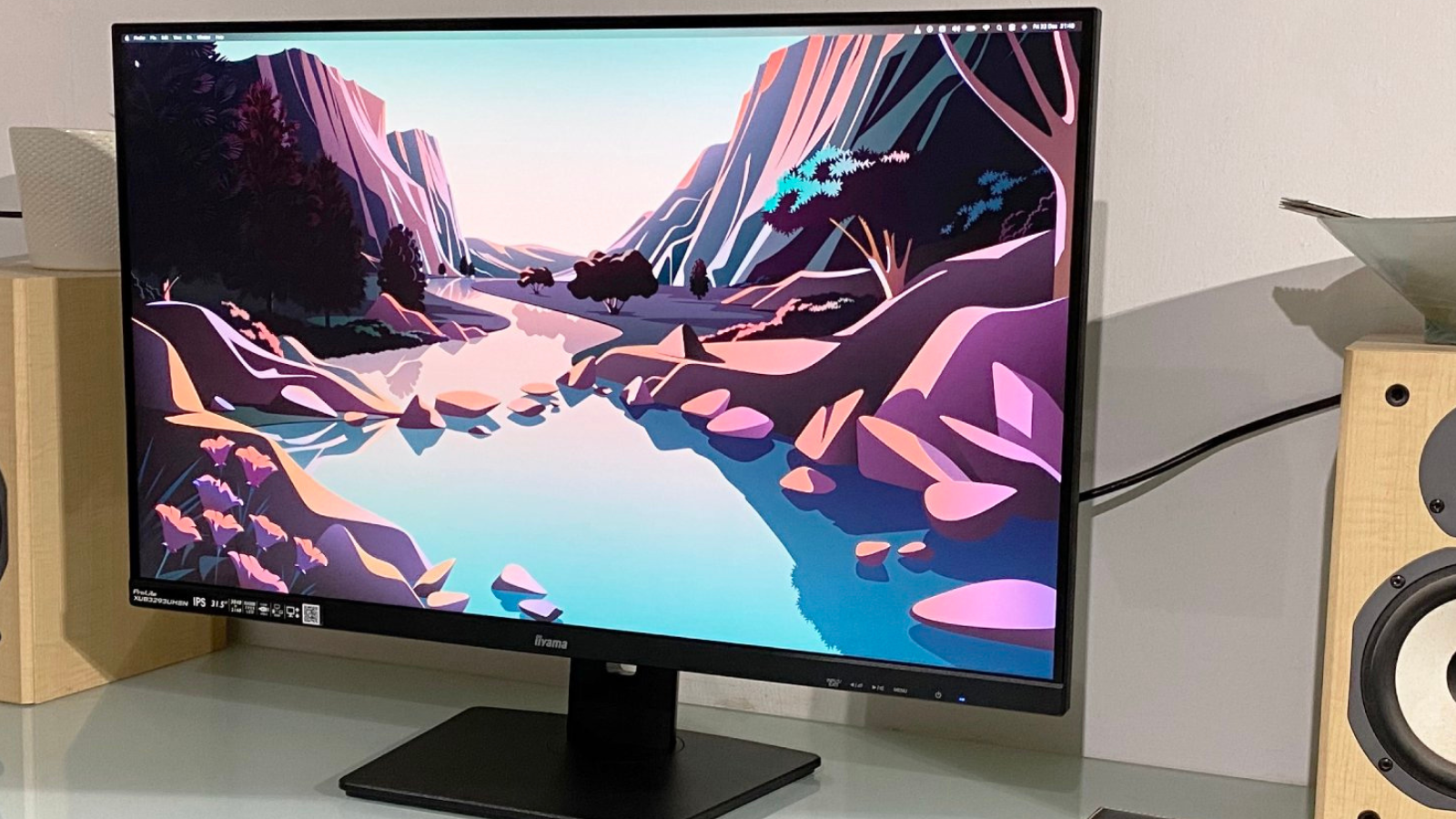 iiyama イイヤマ モニター ディスプレイ ProLite XU2492HSU-B6
