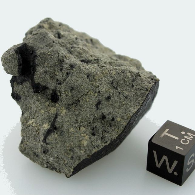 Mars meteorite with organic molecules holds clues to chances of