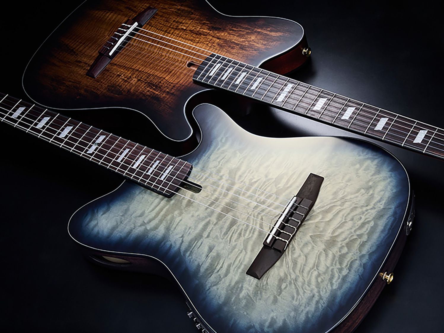 ハウバー ブラインド ブレイル ギター ハウバー ブラインド ブレイル ギター ハウバー ブラインド ブレイル