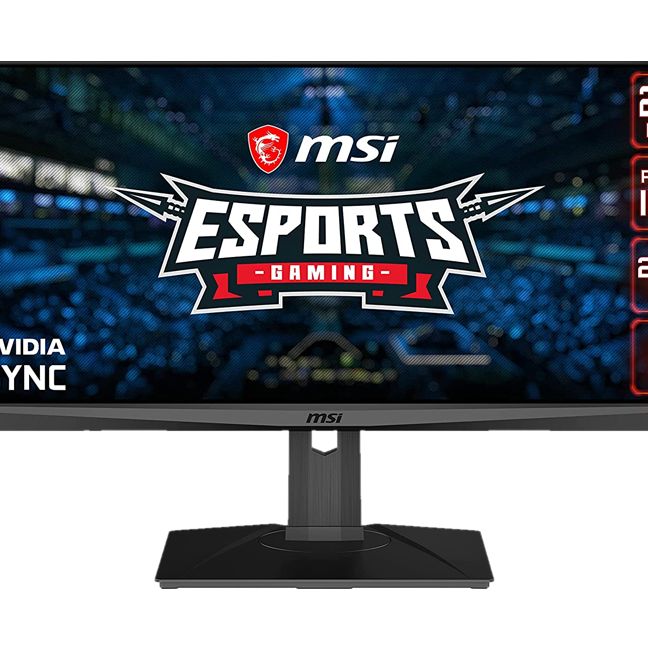 MSI Optix MAG301RF 200 Hz UWFHD IPS Monitor Now $229 at Amazon