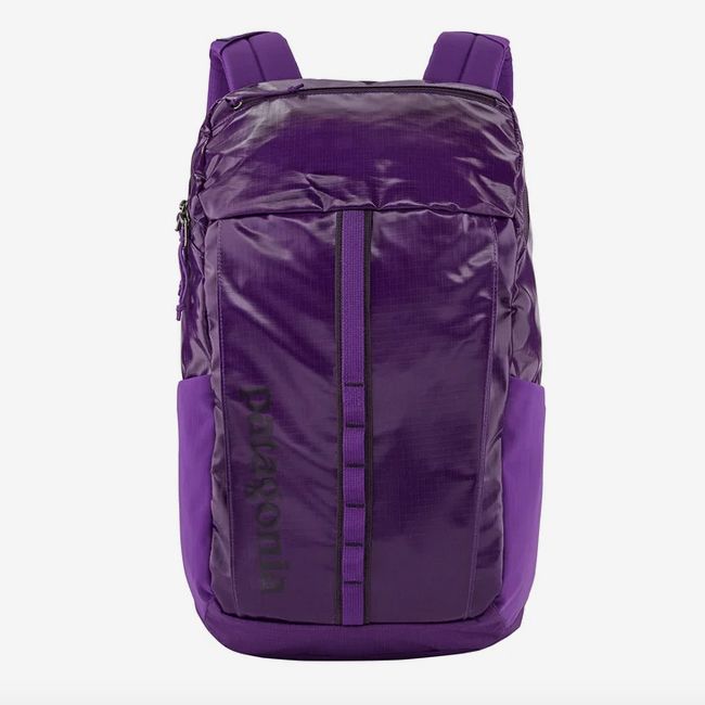 Patagonia 23L Black Hole Pack review: a versatile little bag ideal