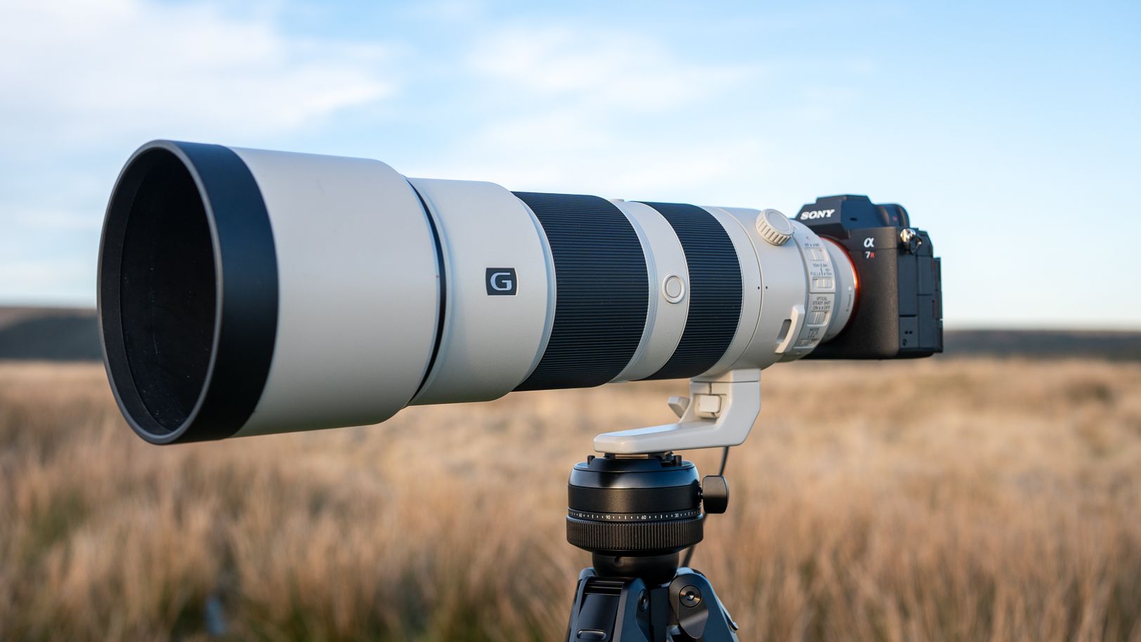 Sony FE 200-600mm f/5.6-6.3 G OSS review | Live Science