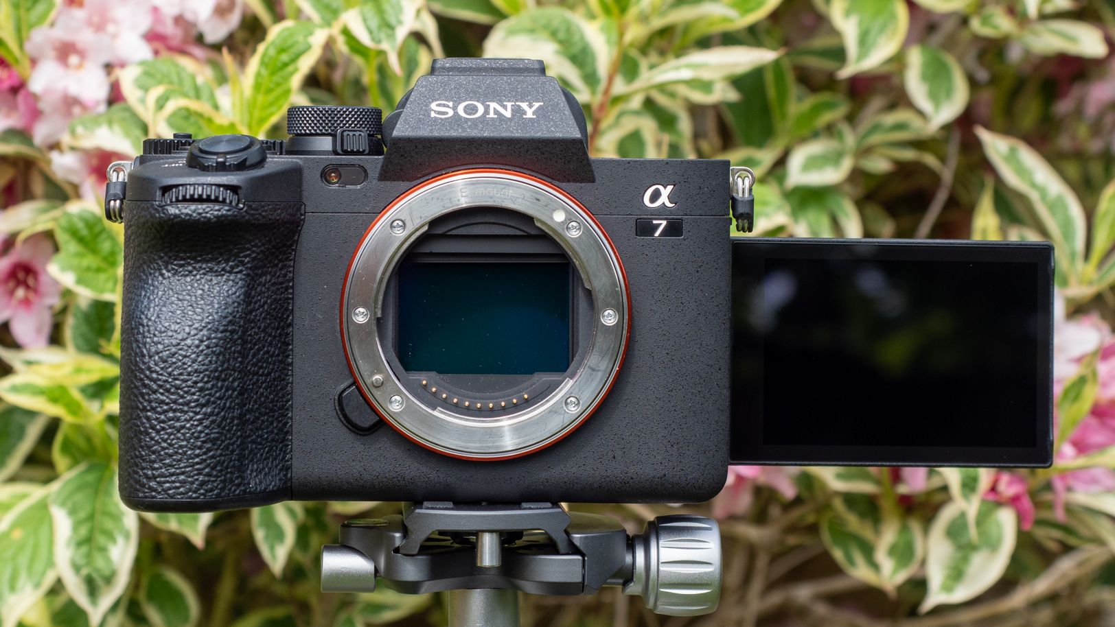 Sony A7 IV review | Live Science