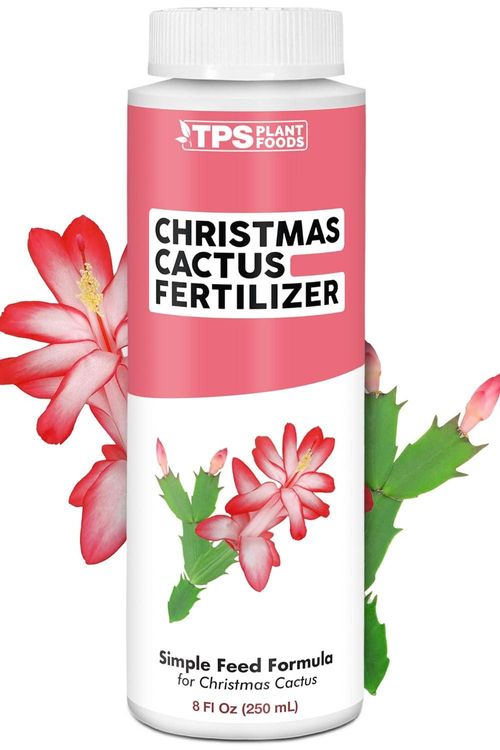 Christmas Cactus Fertilizer