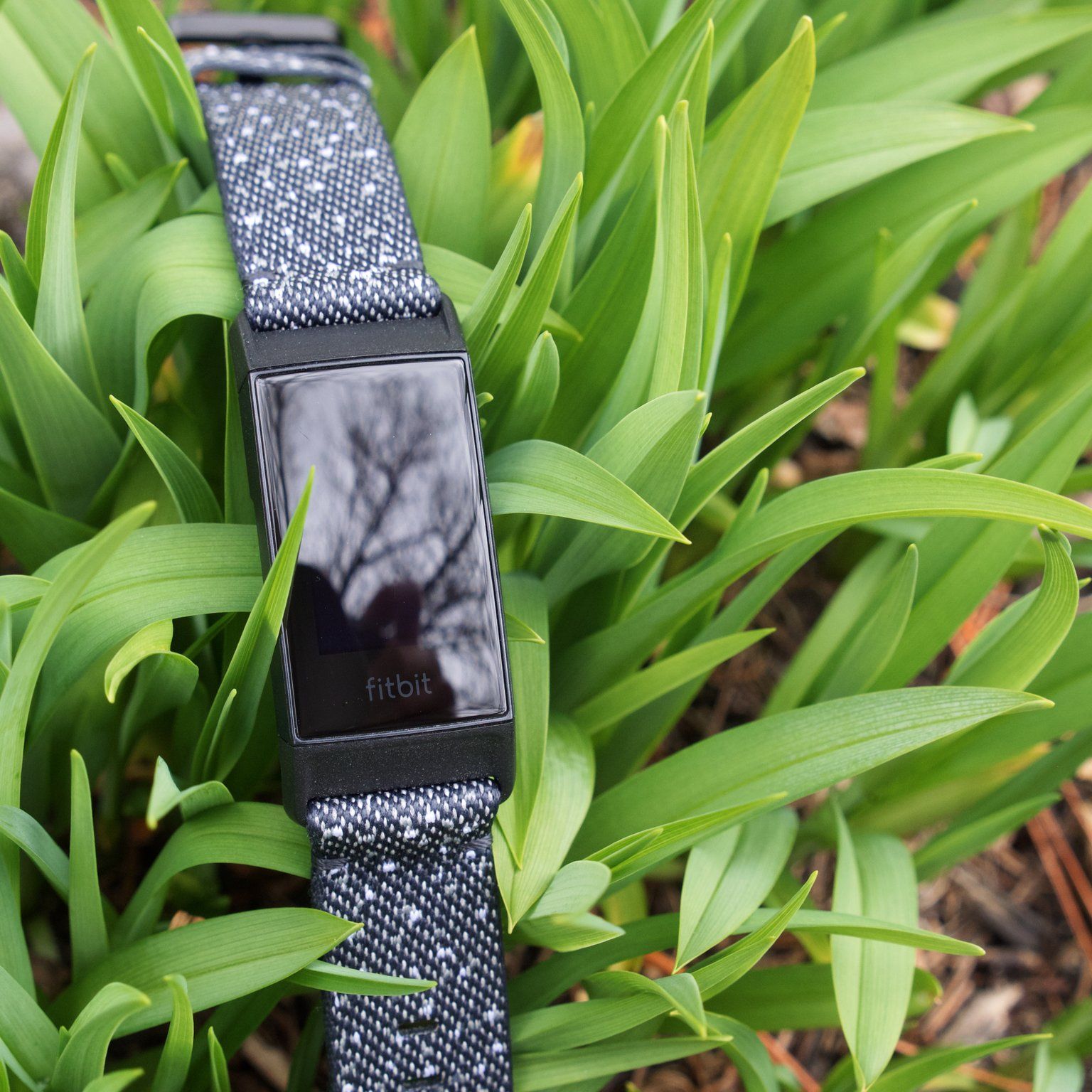 その他 fitbit charge2 LxUNXyJ98823xYYBxjVfGW.jpeg