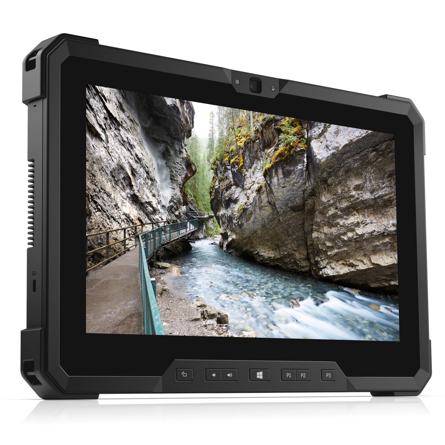 【タンバリン】DELL Windows タブレットPC mS99RzzeMrGGc3oChHGCUa.jpg
