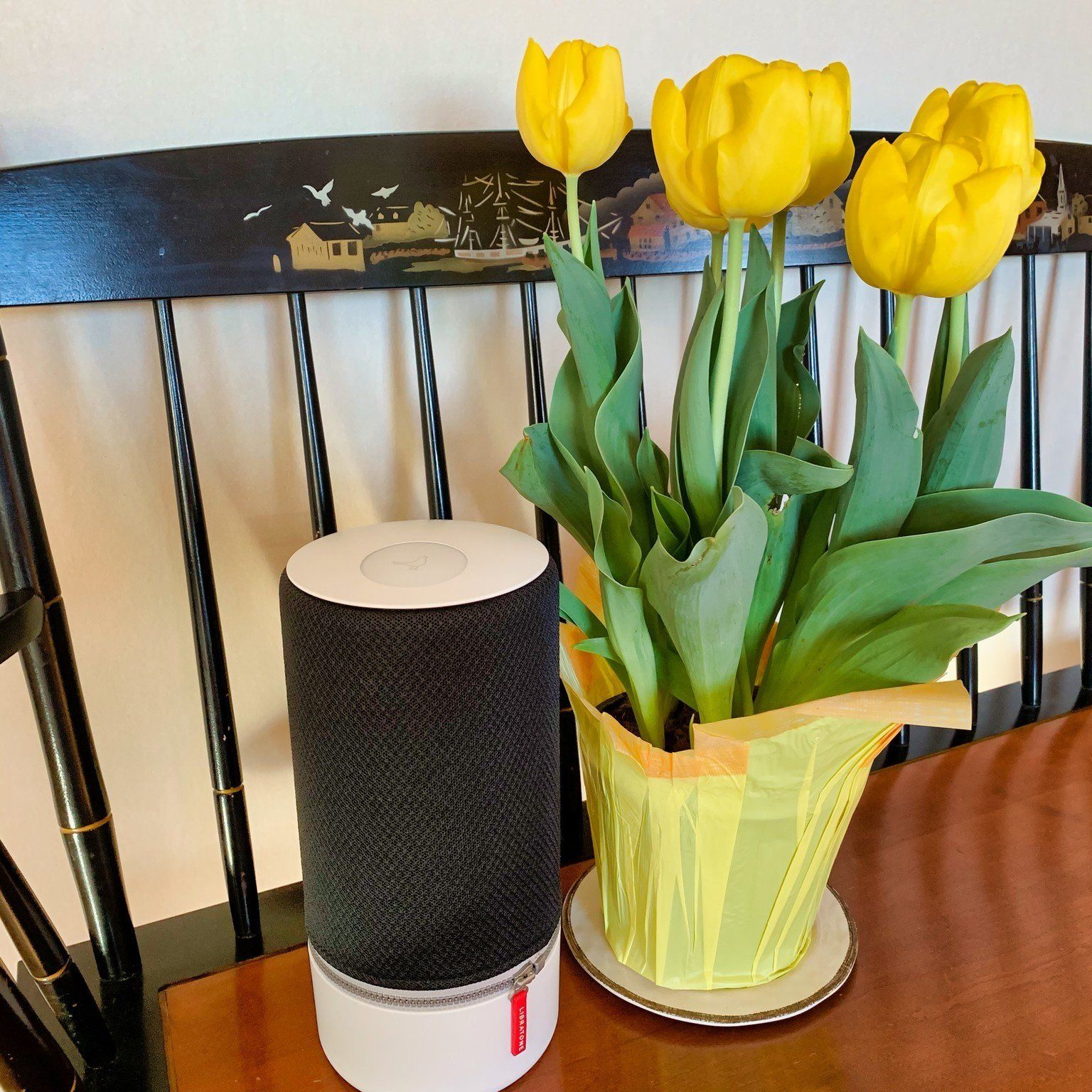 Libratone ZIPP 2個セット黒と白 充電器付き black-4_3ae7a5dc-2794-4473-