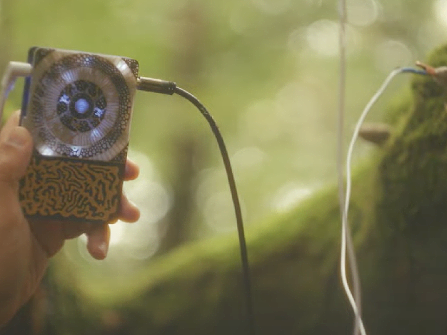 Just clip on to a leaf and play