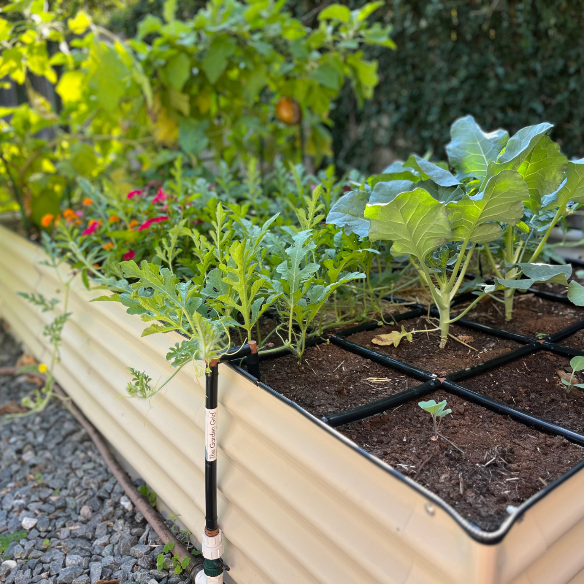Garden In Minutes raised bed system
