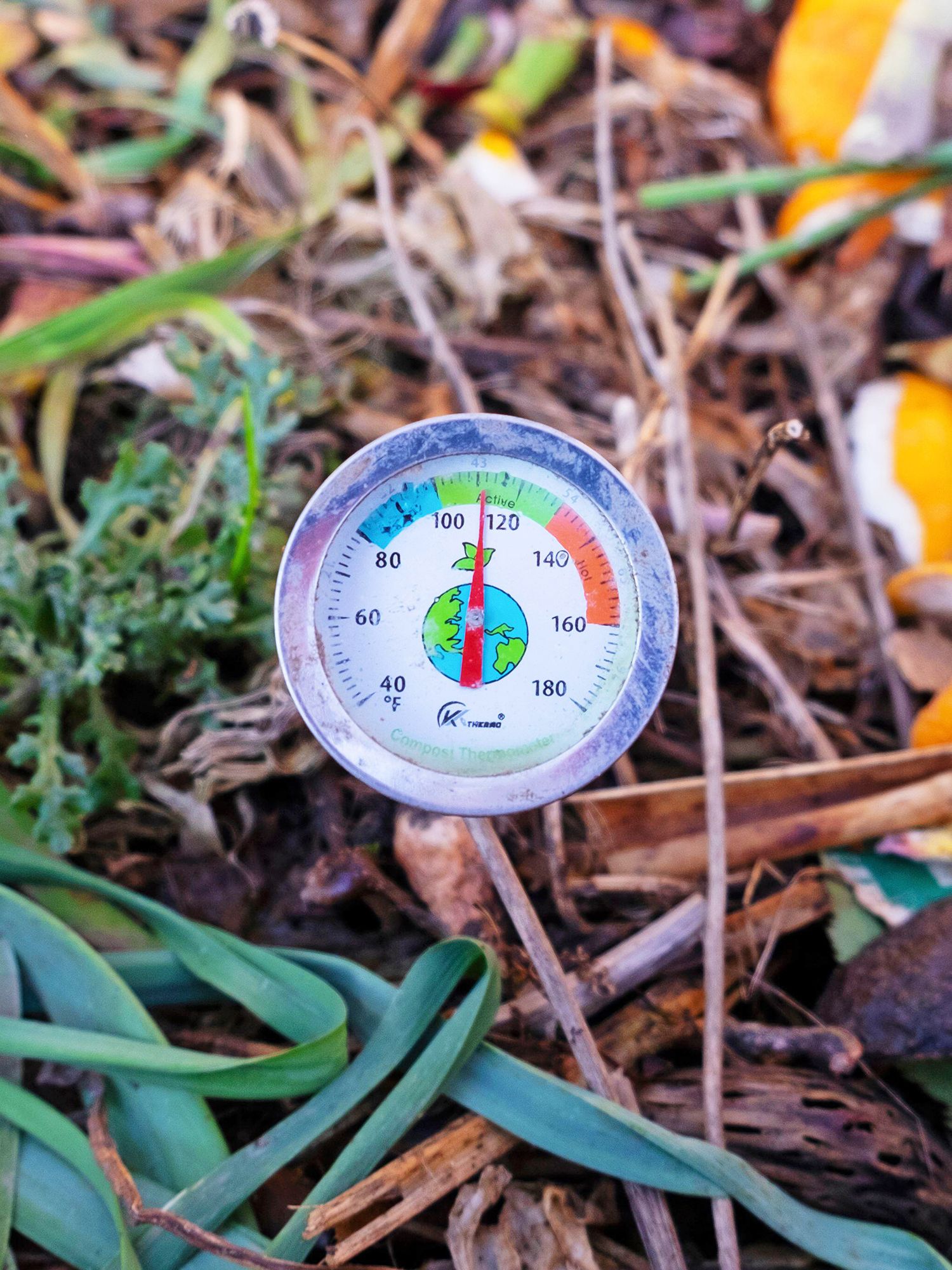 Checking the temperature of a hot composting pile