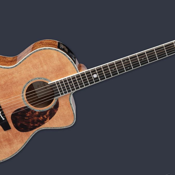 訳あってお買い得！30～80％OFF in anniversary 60th its celebrates Takamine style the with ギター
