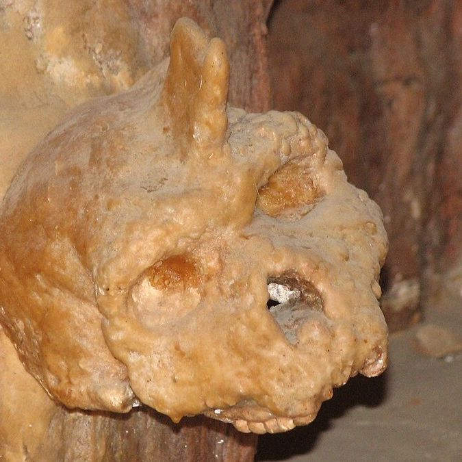 Mysterious 300,000-year-old Greek cave skull was neither human nor  Neanderthal, study finds | Live Science