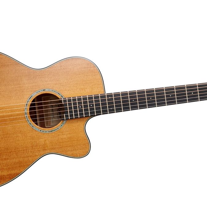 Takamine Tシリーズ アコースティックギター サンバースト NXWQDugKJecK5D8tEZ3VgA.jpg