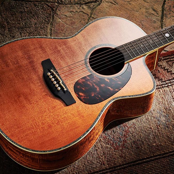 Takamine アコースティックギター ブラウン 6弦 Takamine / タカミネ アコースティックギター | 島村楽器