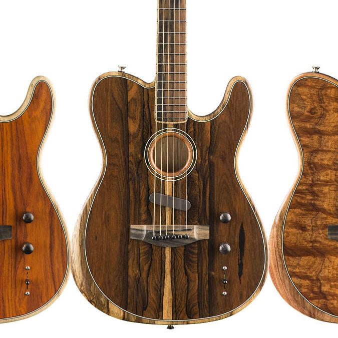ギター Fender American Acoustasonic Cocobolo image.jpg