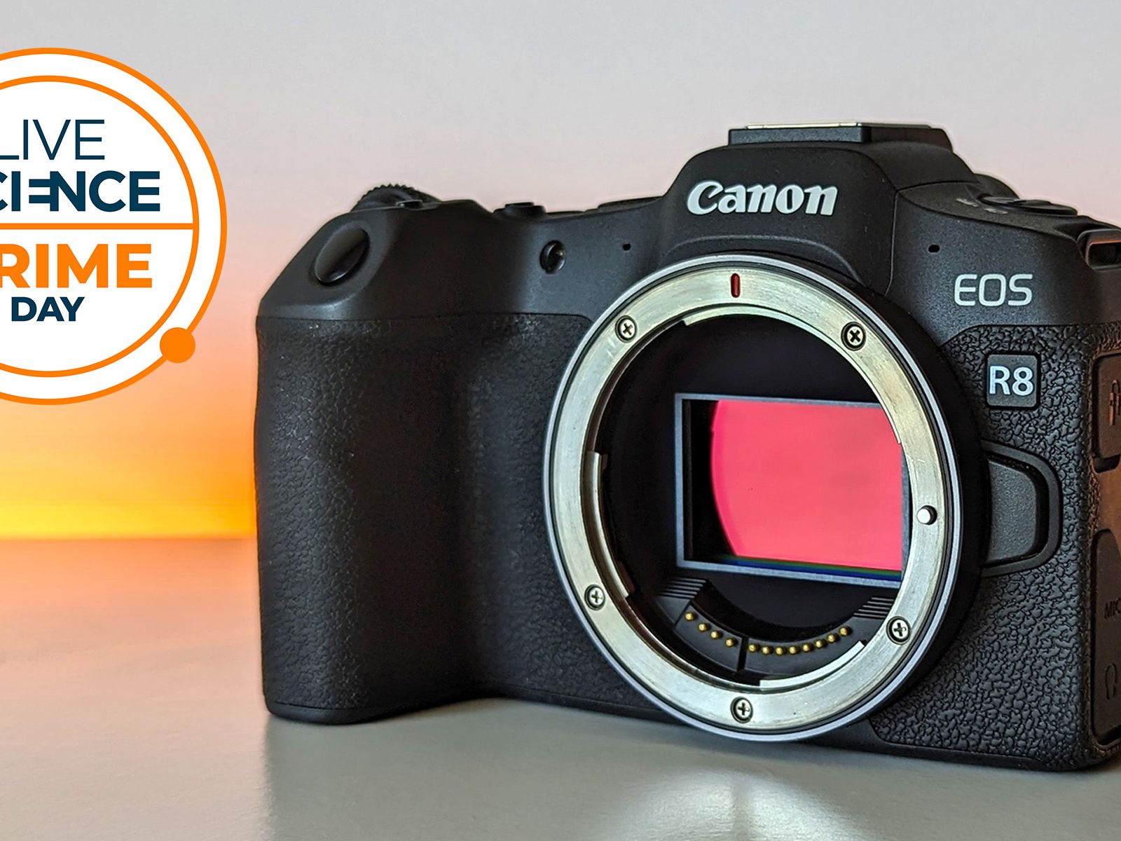 Last chance! The Canon EOS R8 is still cheapest at Walmart — just