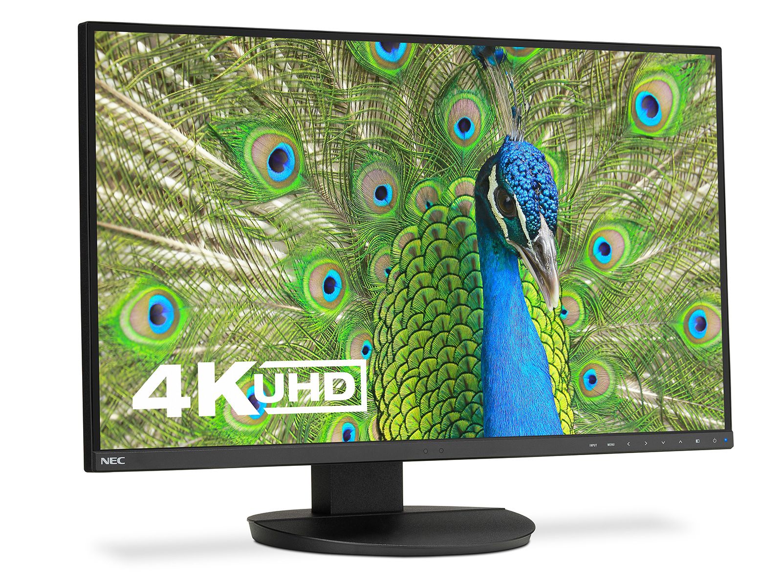 特別オファー review: EA271U MultiSync NEC An monitor office outstanding ディスプレイ・モニター本体