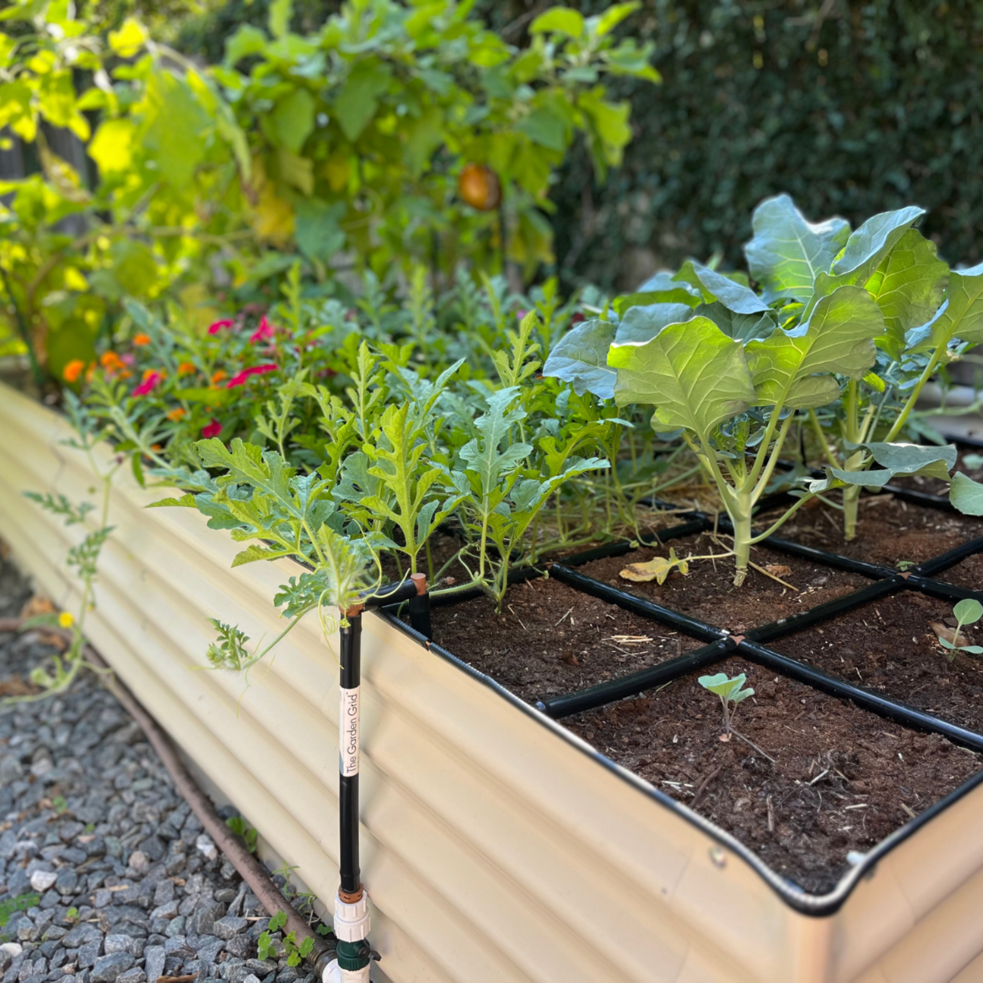 Garden In Minutes raised bed system