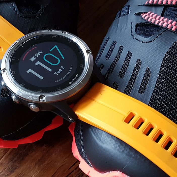 小物入れ GARMIN fenix5plus sapphire pL8U4zSzqm2Em7rEYUgw8N.jpg