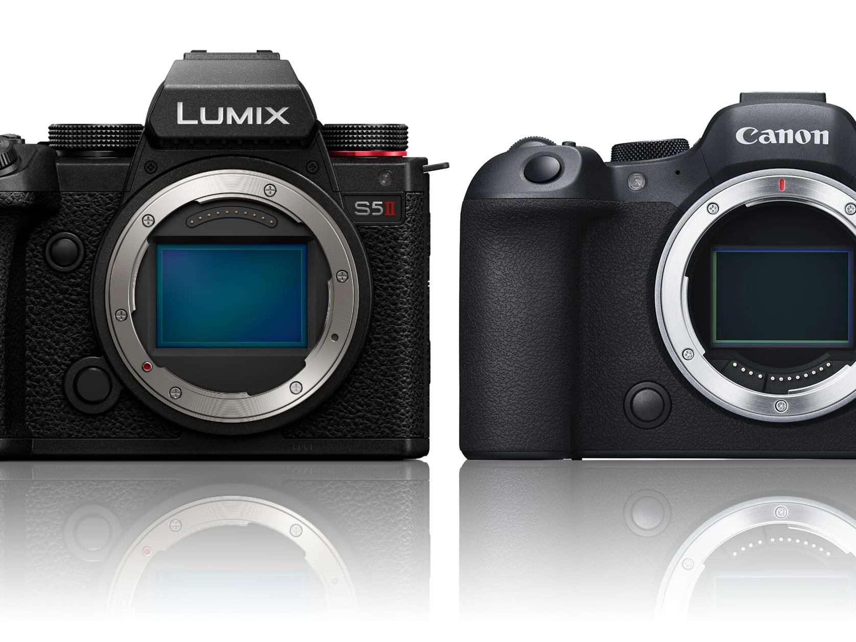 Panasonic Lumix S5 II vs Canon EOS R6 II | Digital Camera World