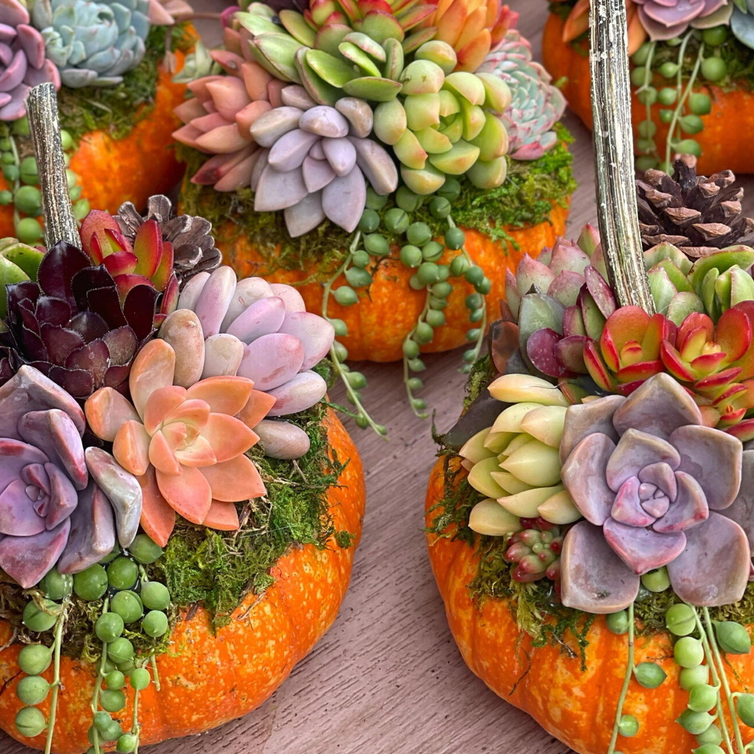 How to make a pumpkin planter for tasteful Halloween decor | Livingetc