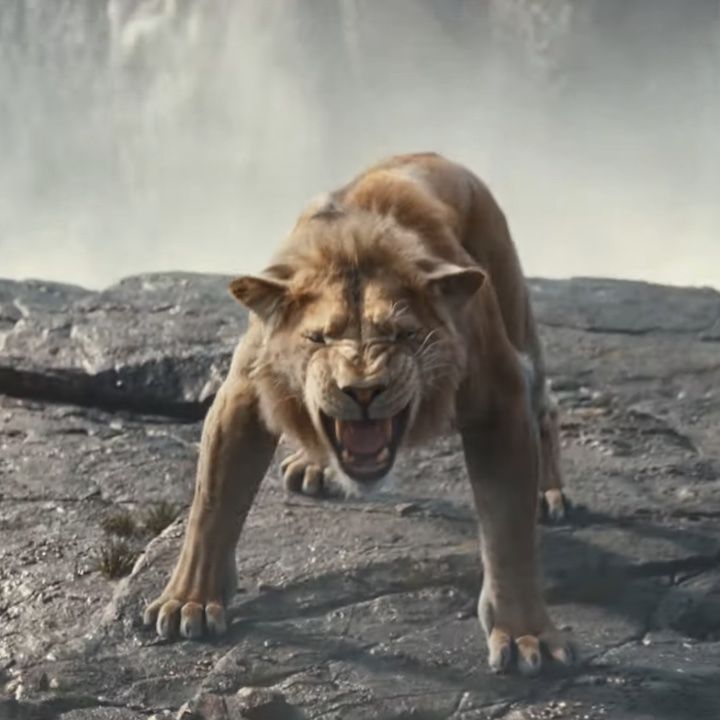 live action lion king full movie fmovies