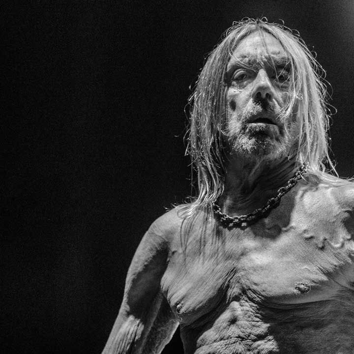 Iggy Pop: 