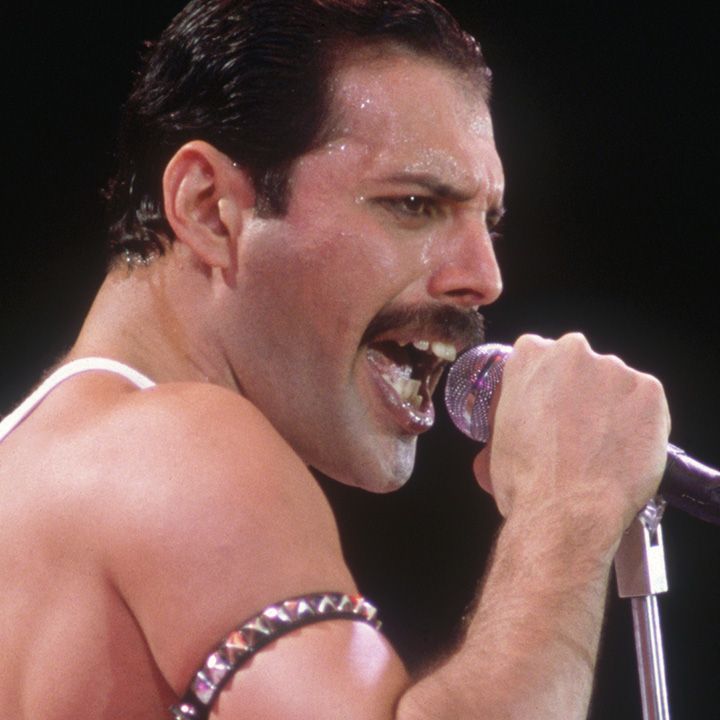 FREDDIE MERCURY NEVER BORING 限定生産 BOX Amazon.com: Never Boring: CDs & Vinyl