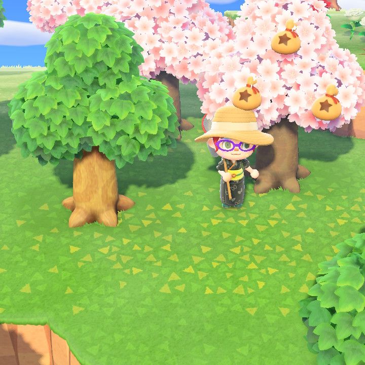Animal Crossing: New Horizons  How to plant a money tree | iMore