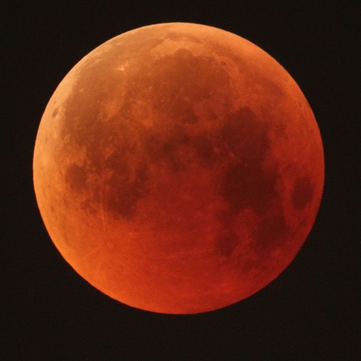 Beaver Blood Moon lunar eclipse: The ultimate guide | Space