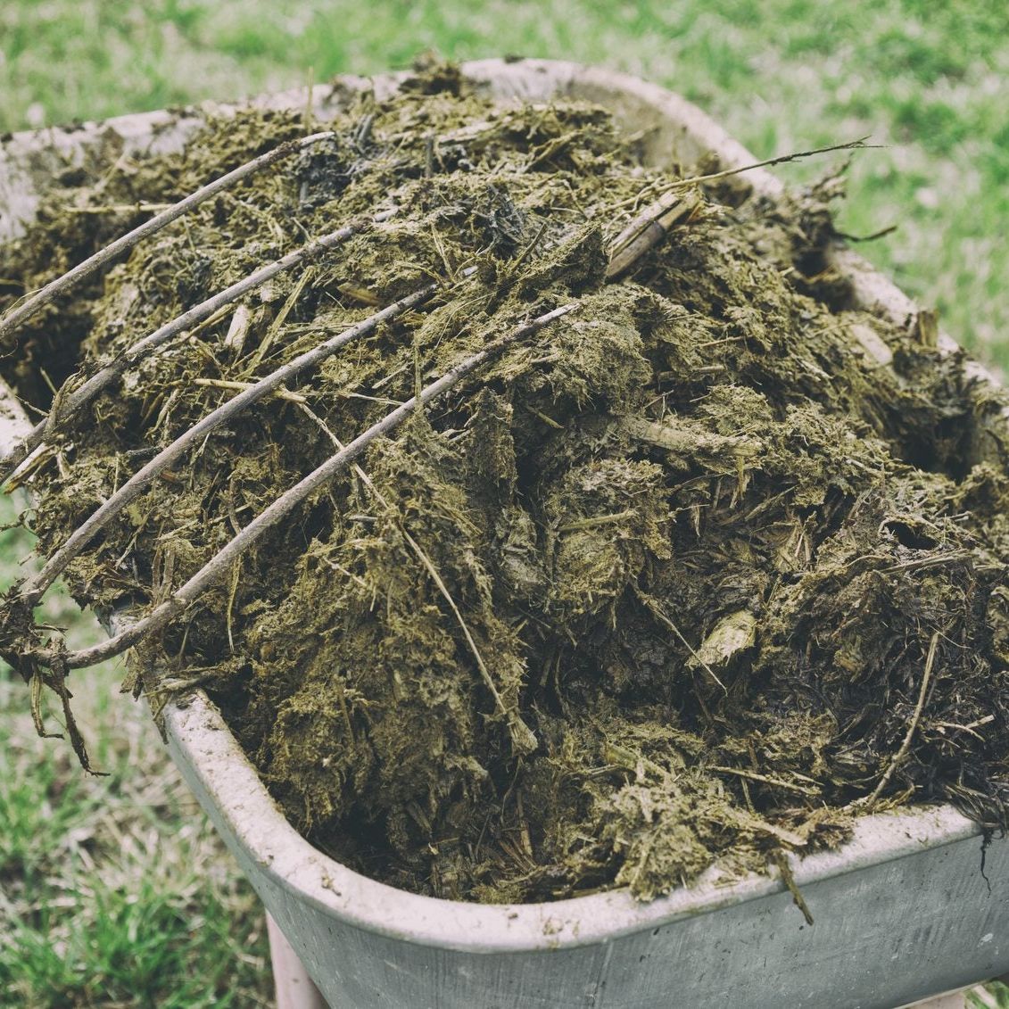 Vermicomposting for Beginners: Easy Worm Composting Guide, image size:1131x1131