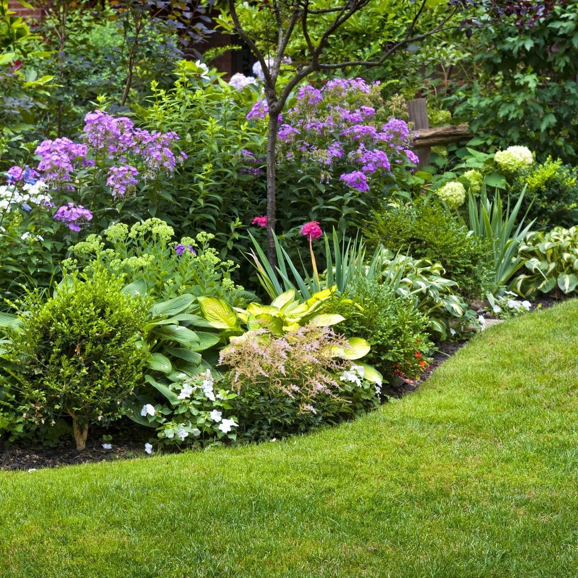 Gardening In USDA Zone 6 - Tips On Growing Zone 6 Plants | Gardening Know  How