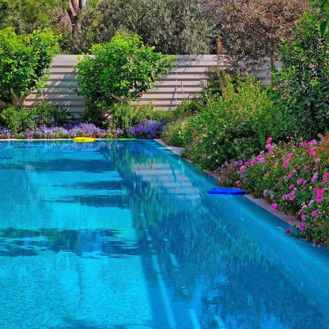 Poolside Gardens - What Are Some Poolside Plants | Gardening Know How