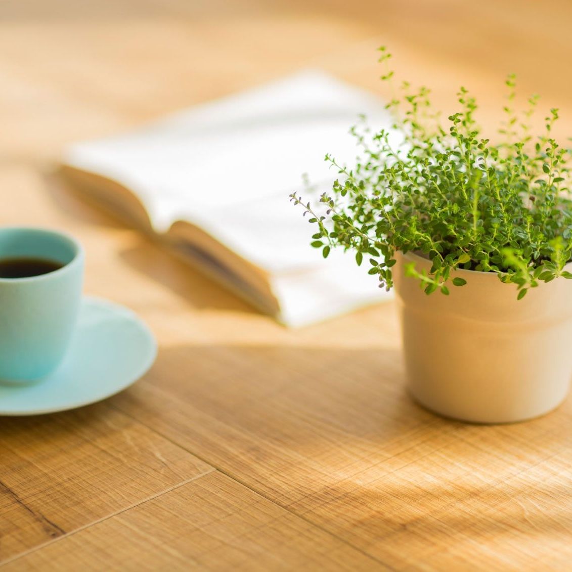 Coffee Used On Plants - How To Water Plants With Coffee | Gardening Know How