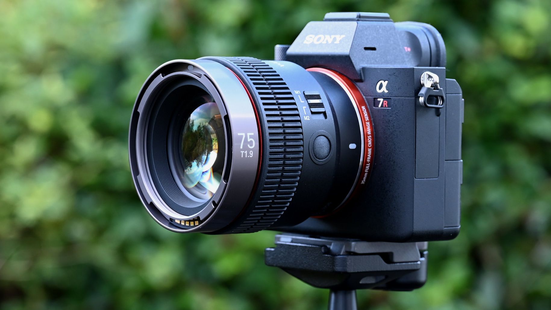 Samyang V-AF 75mm T1.9 review | Digital Camera World