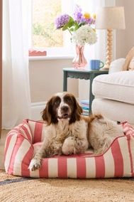 Beatrice Stripe Box Pet Bed