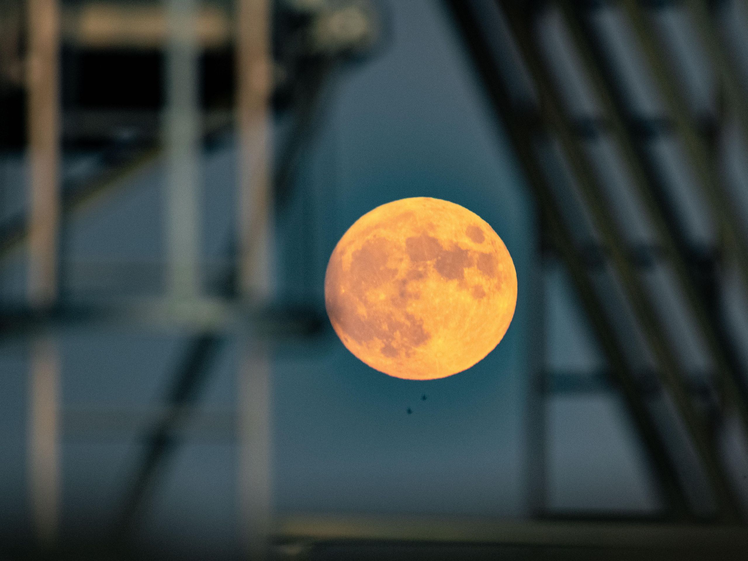 Moon　 SReL9MKny4e6BFdB8tYeL7.jpg