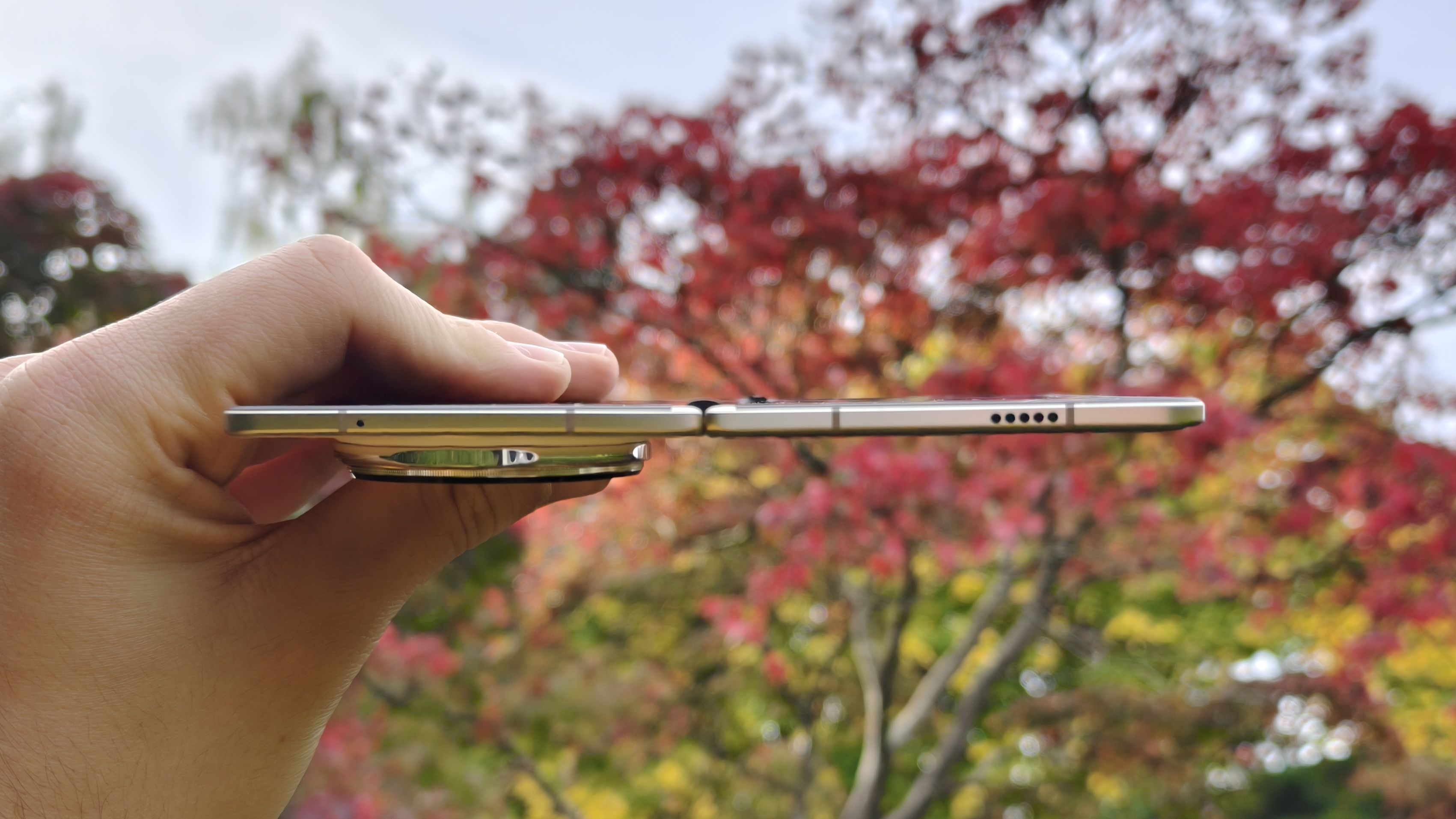 Honor Magic V5, top edge, red tree in background