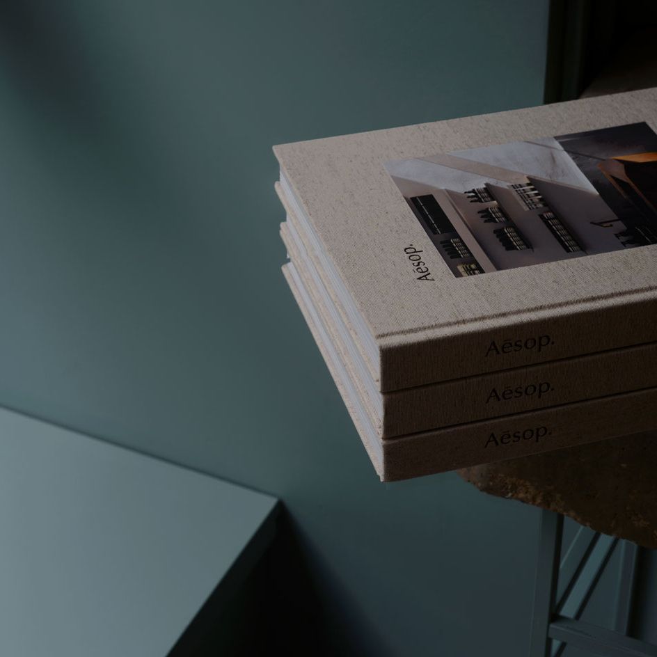 Aesop the book ／ Rizzoli Aesop by JENNIFER DOWN - Book: 9780847866755 | Rizzoli Bookstore