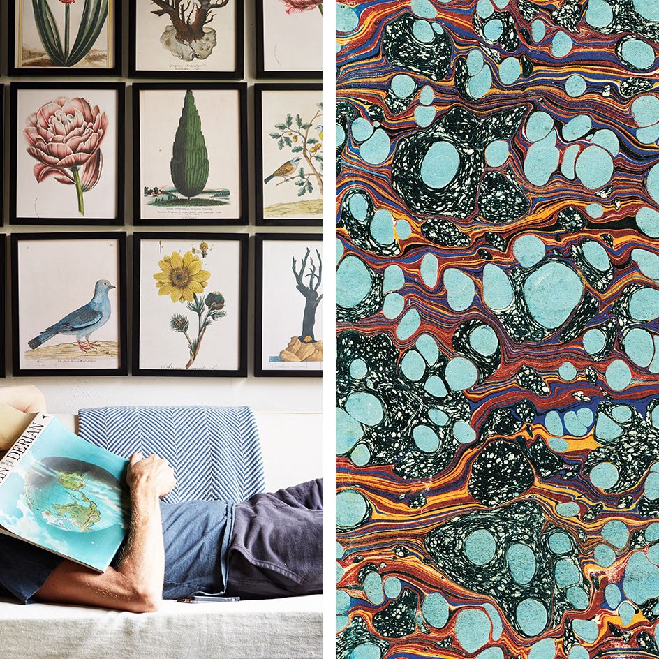 John Derian Picture book is an illustrative feast | Wallpaper*