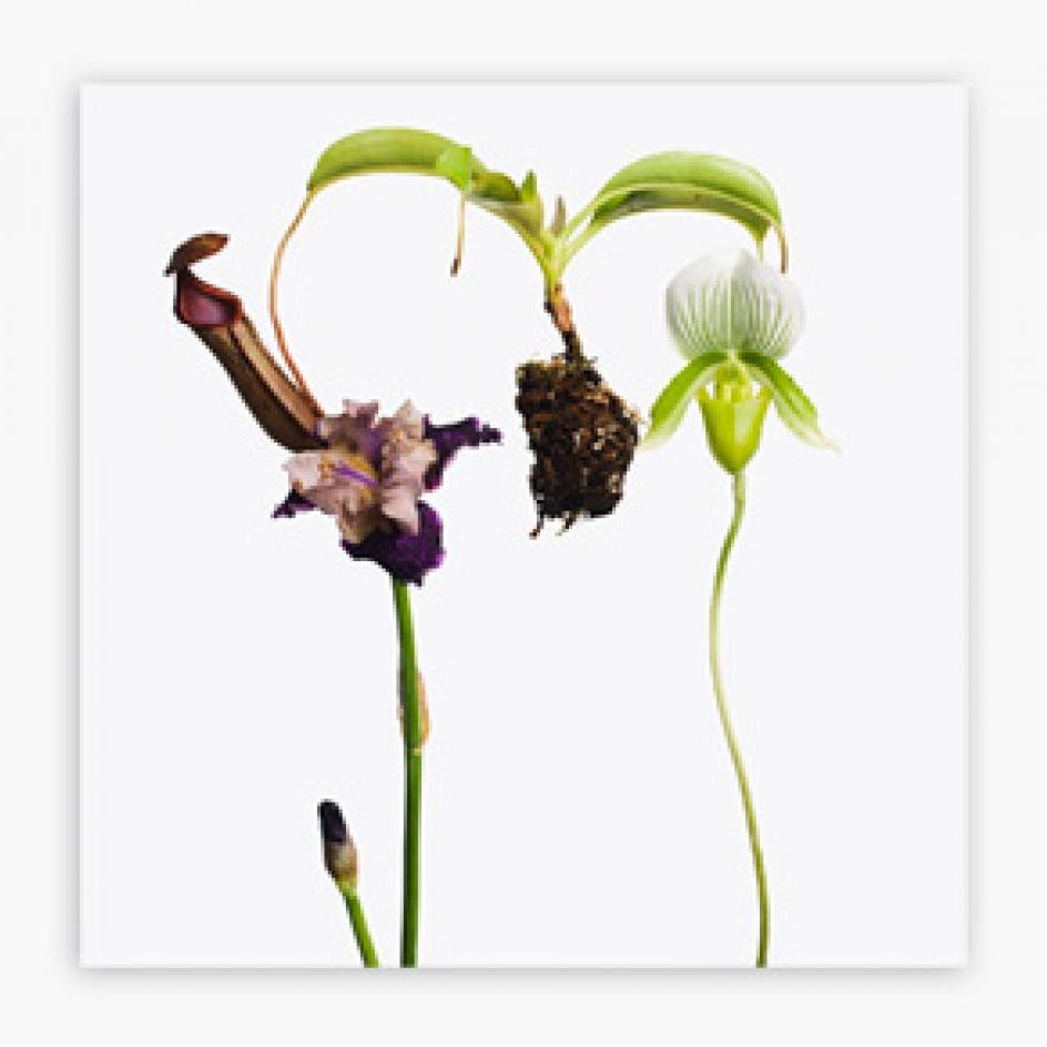 Inez van Lamsweerde Vinoodh Matadin show at Gagosian Gallery, LA
