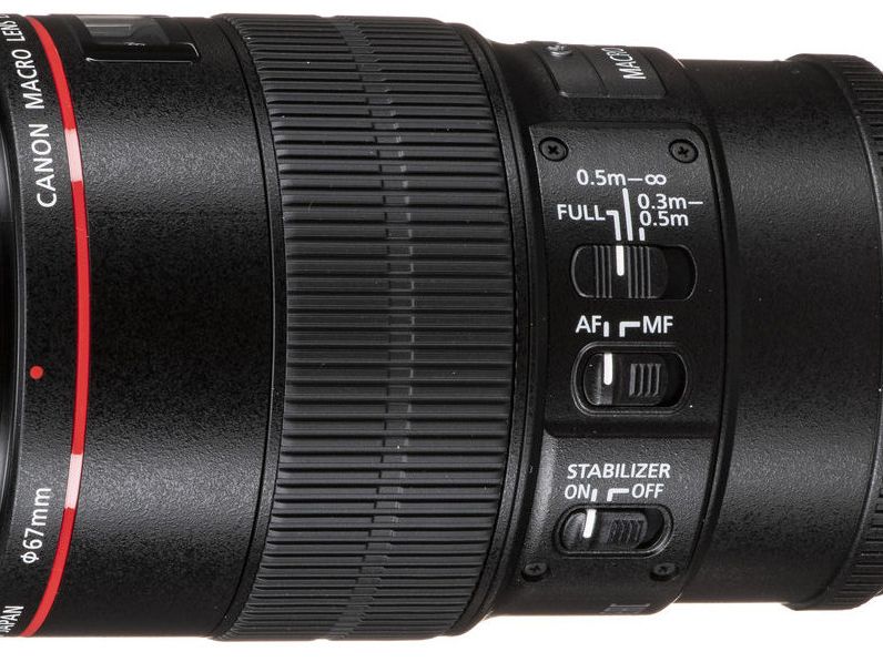 Canon EF 100mm f/2.8L Macro IS USM review | Digital Camera World