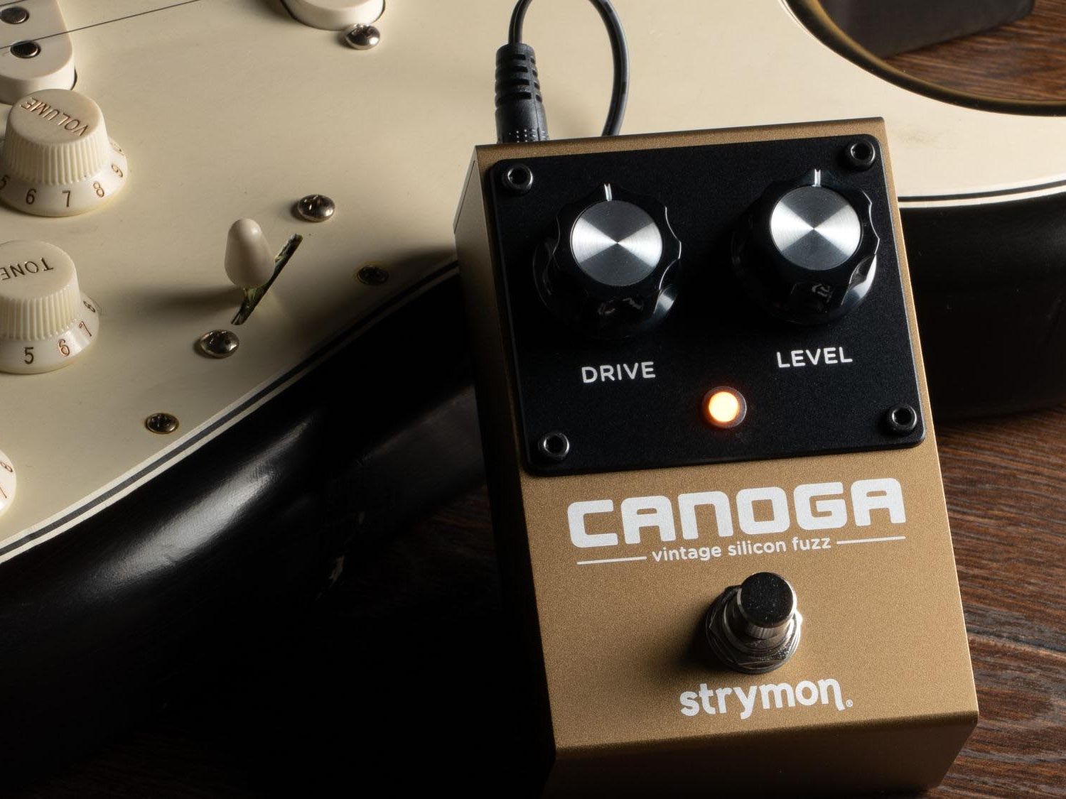 Strymon launches the Canoga – a two-knob silicon fuzz pedal