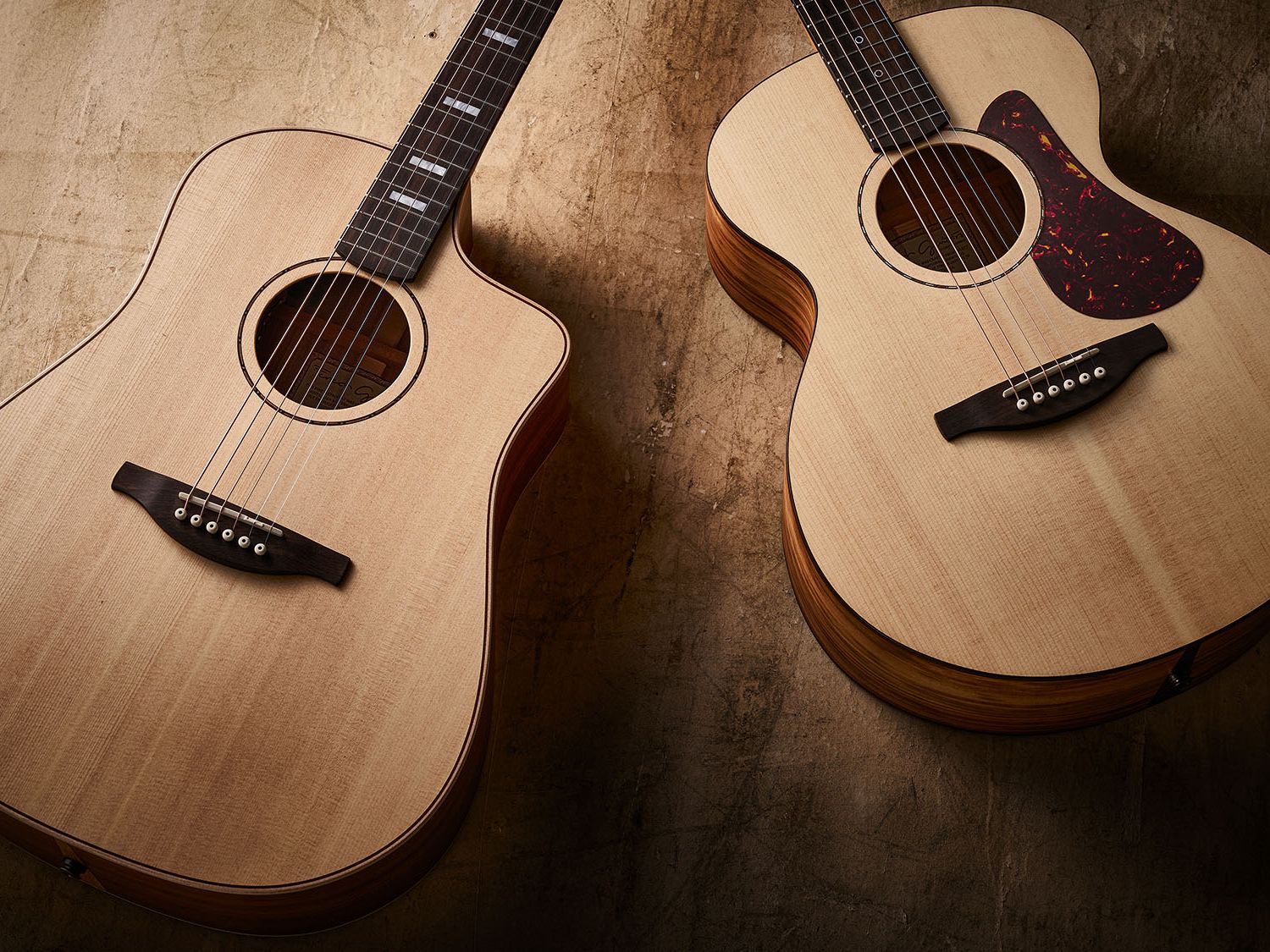Fenech VT Camphor Laurel Auditorium & VT Professional Blackwood