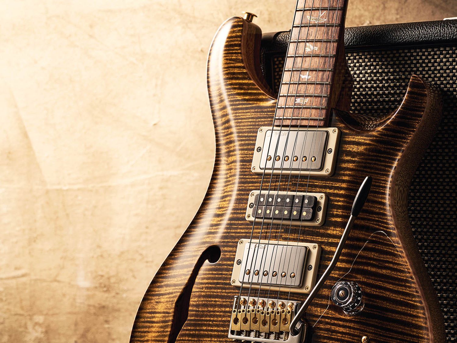 希少】PRS SE Custom Semi-hollow The PRS SE Custom 24 Semi-Hollow