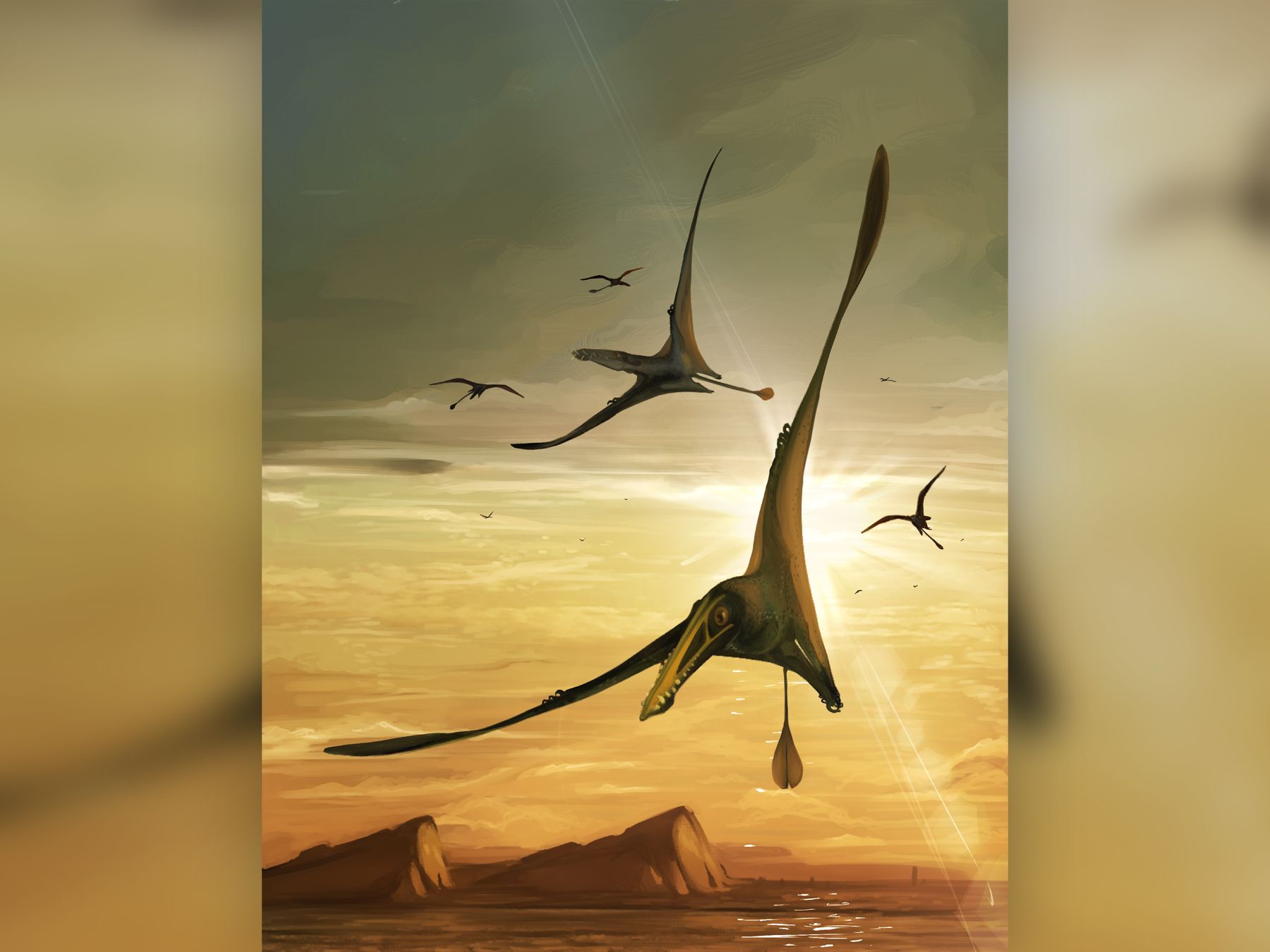 Largest Jurassic pterosaur on record unearthed in Scotland | Live