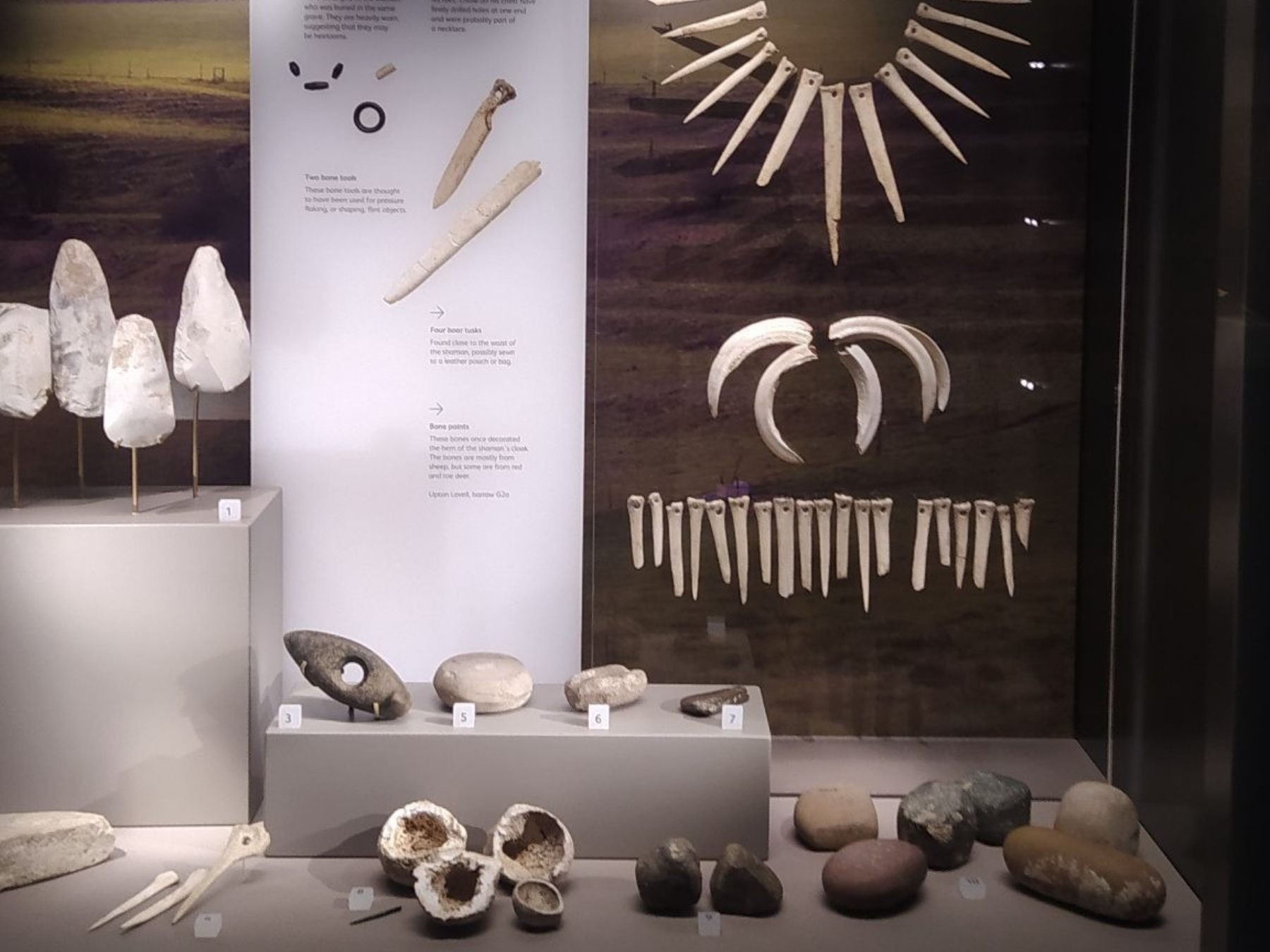 Ancient DNA reveals shaman buried near Stonehenge was female