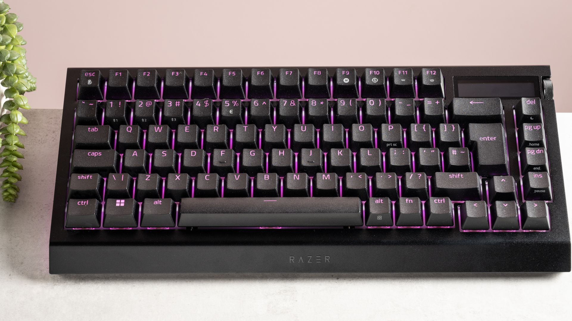 Razer BlackWidow V4 Pro 75% review: a thick wireless gaming