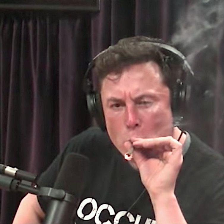 elon tobacco Elon Musk casually smoked a joint on live YouTube